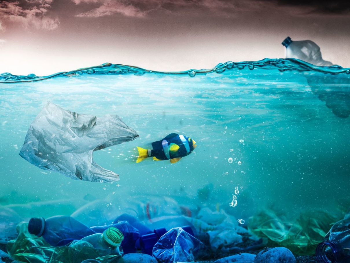 Expeditie Sterke Yerke