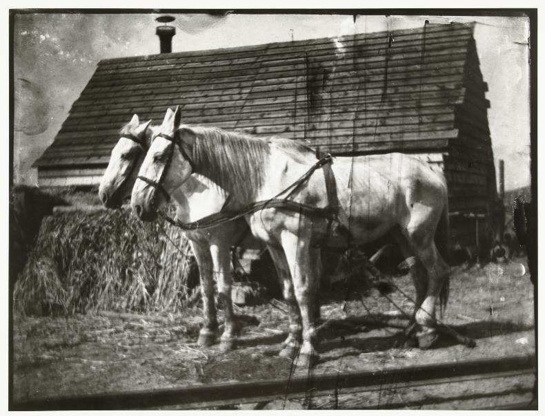 george hendrik breitner_3