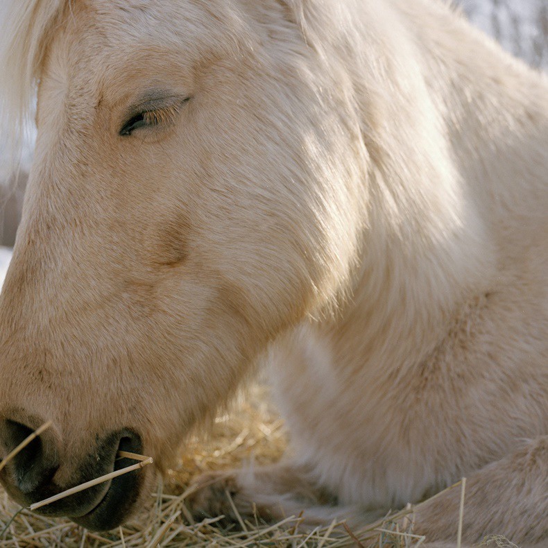 Charlotte Dumas - Dragers