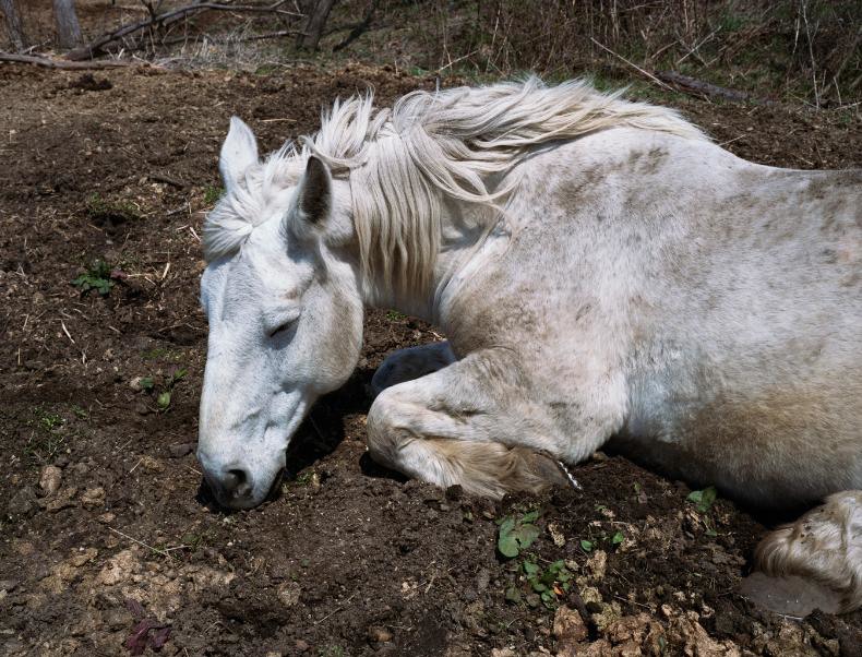 polaroids van charlotte dumas_0